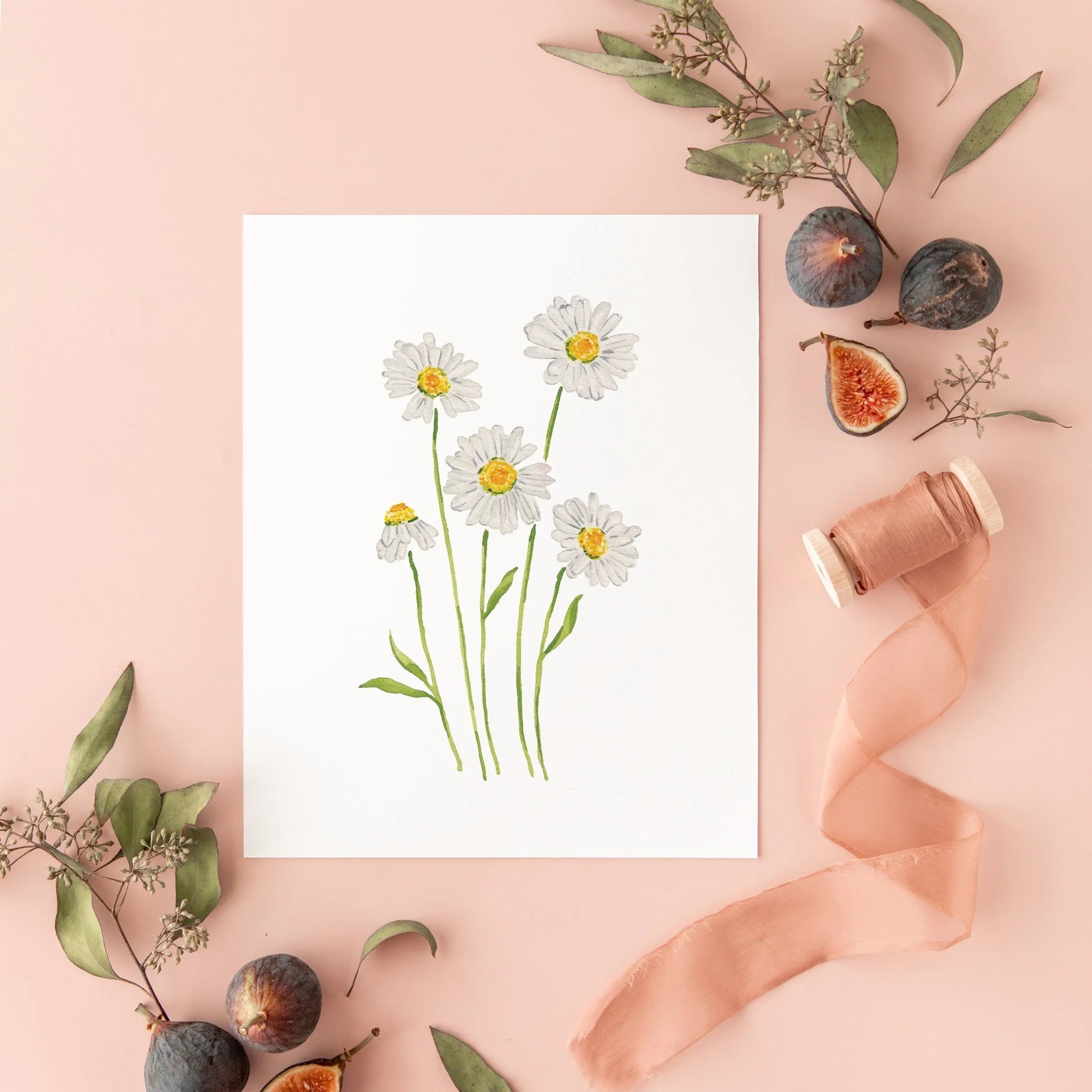 Botanical Art Prints 8x10 - Daisy
