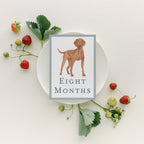 Baby Milestone Cards - Dogs