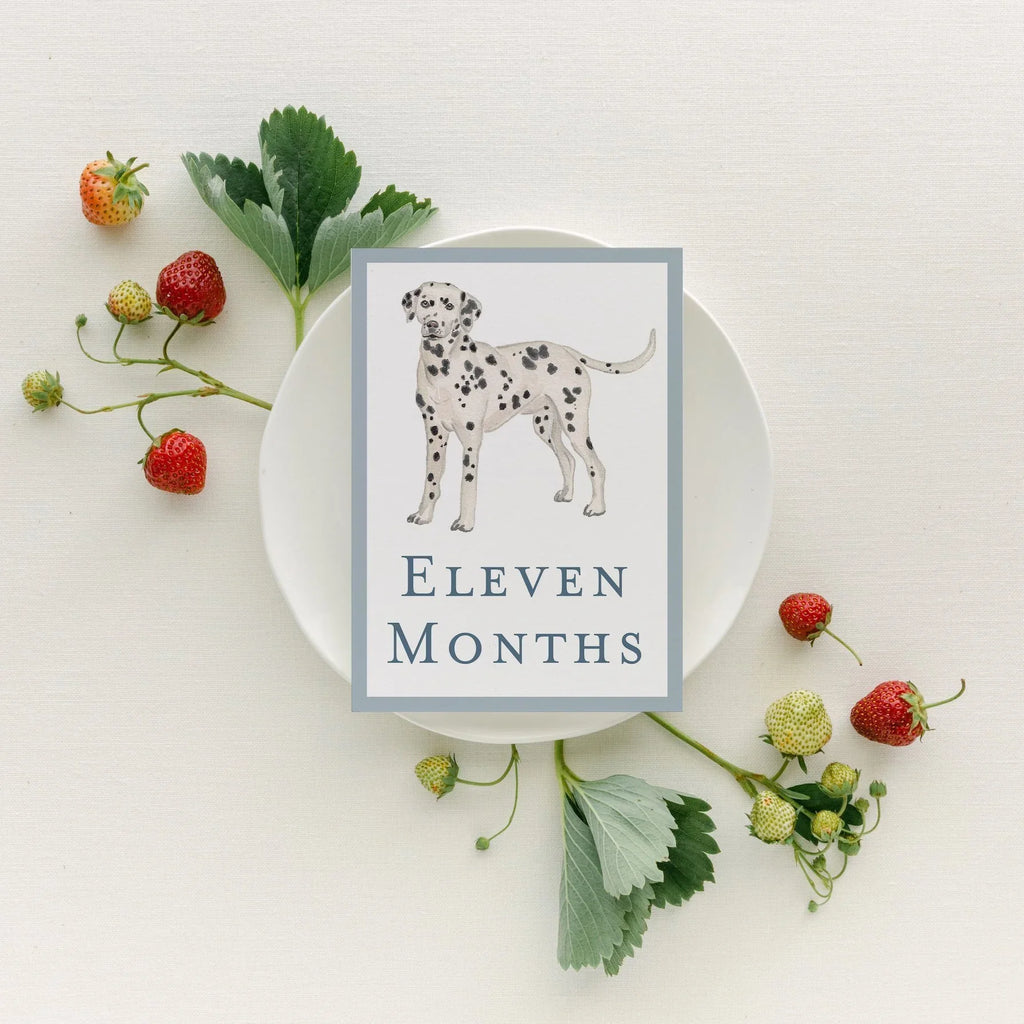 Baby Milestone Cards - Dogs
