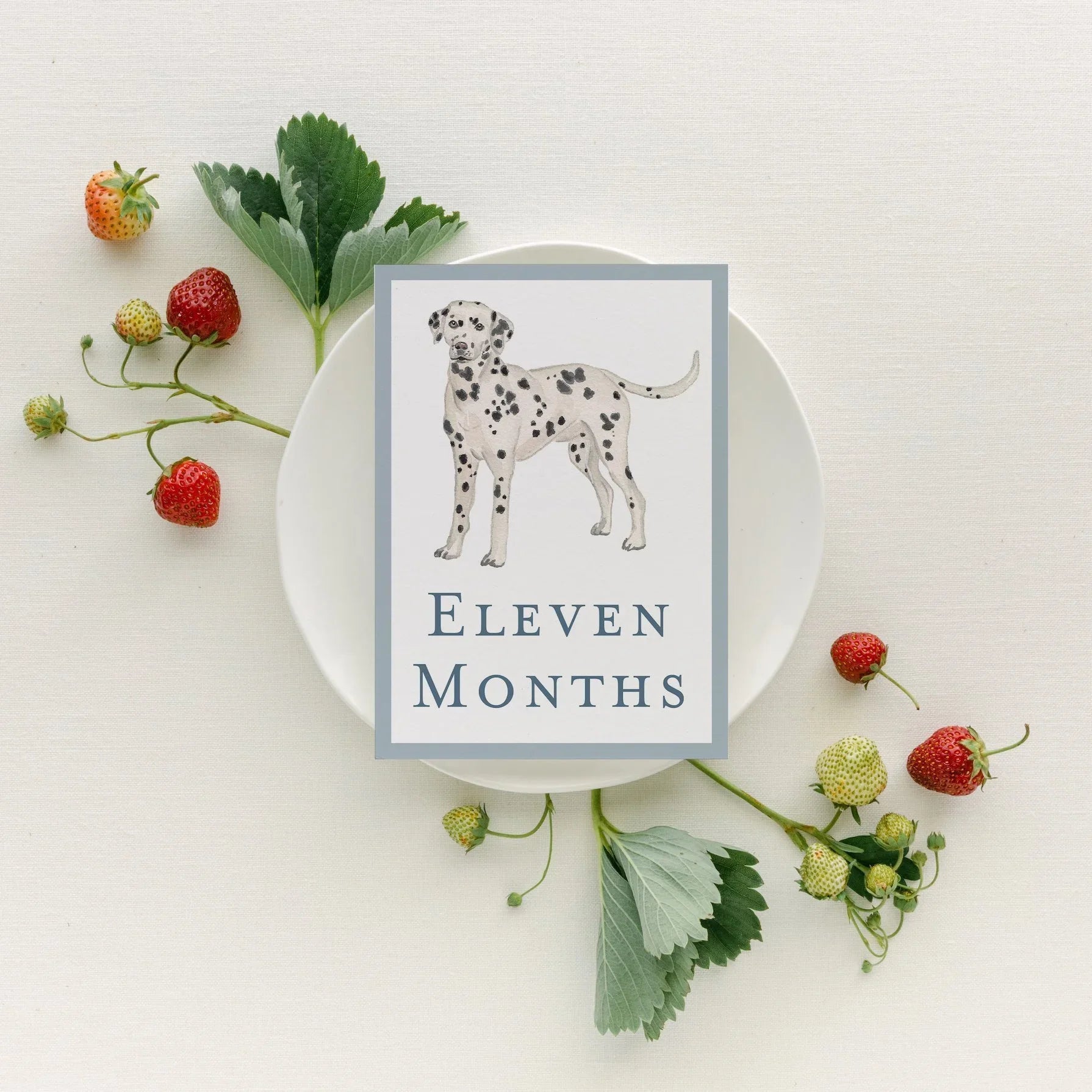 Baby Milestone Cards - Dogs