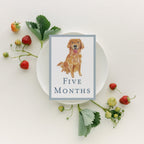 Baby Milestone Cards - Dogs