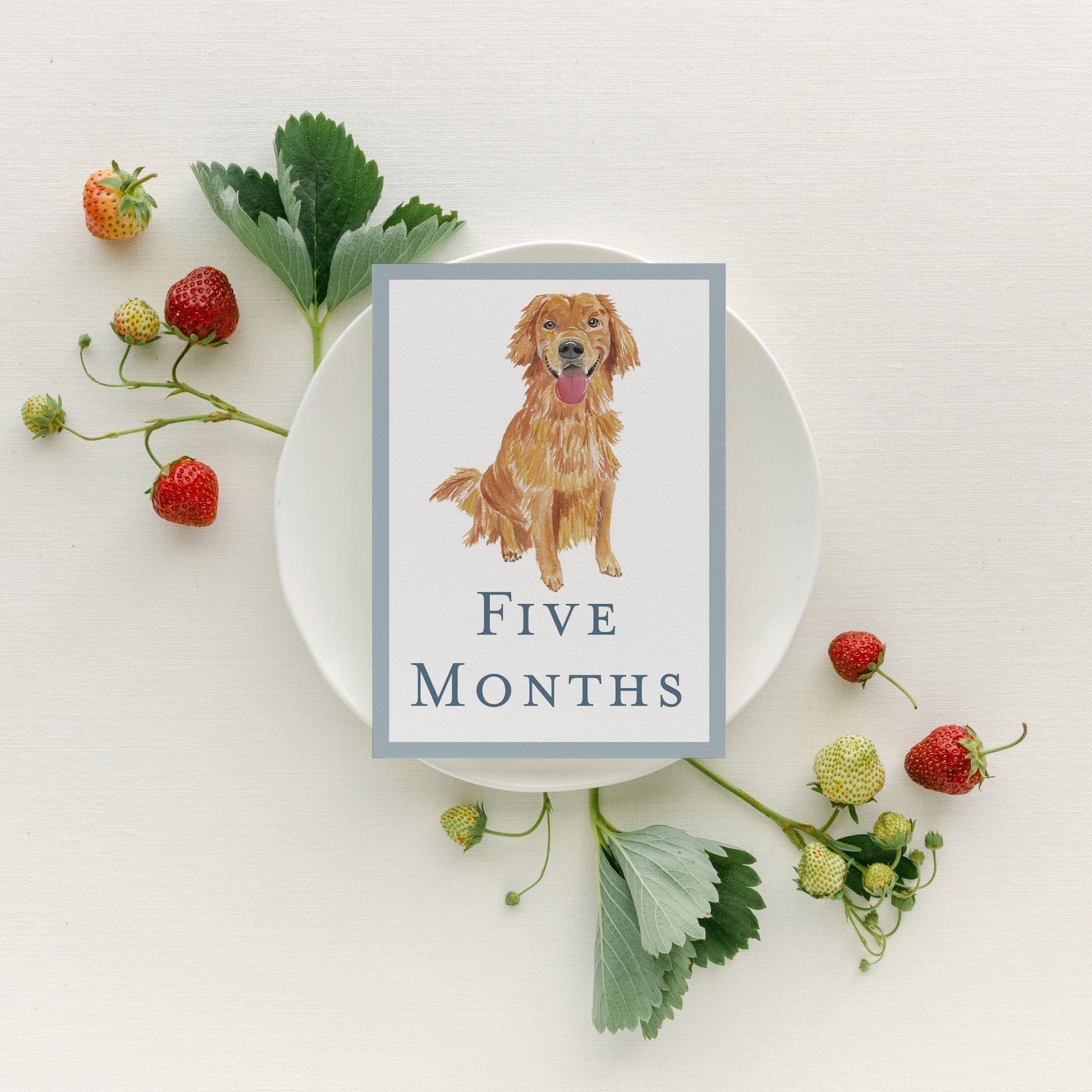 Baby Milestone Cards - Dogs