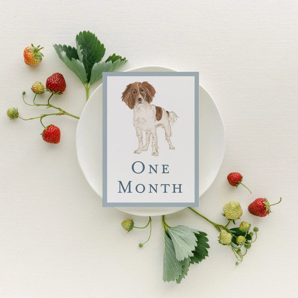 Baby Milestone Cards - Dogs