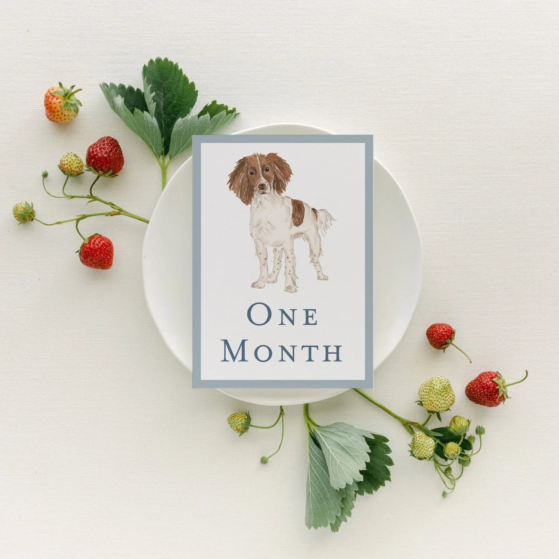 Baby Milestone Cards - Dogs