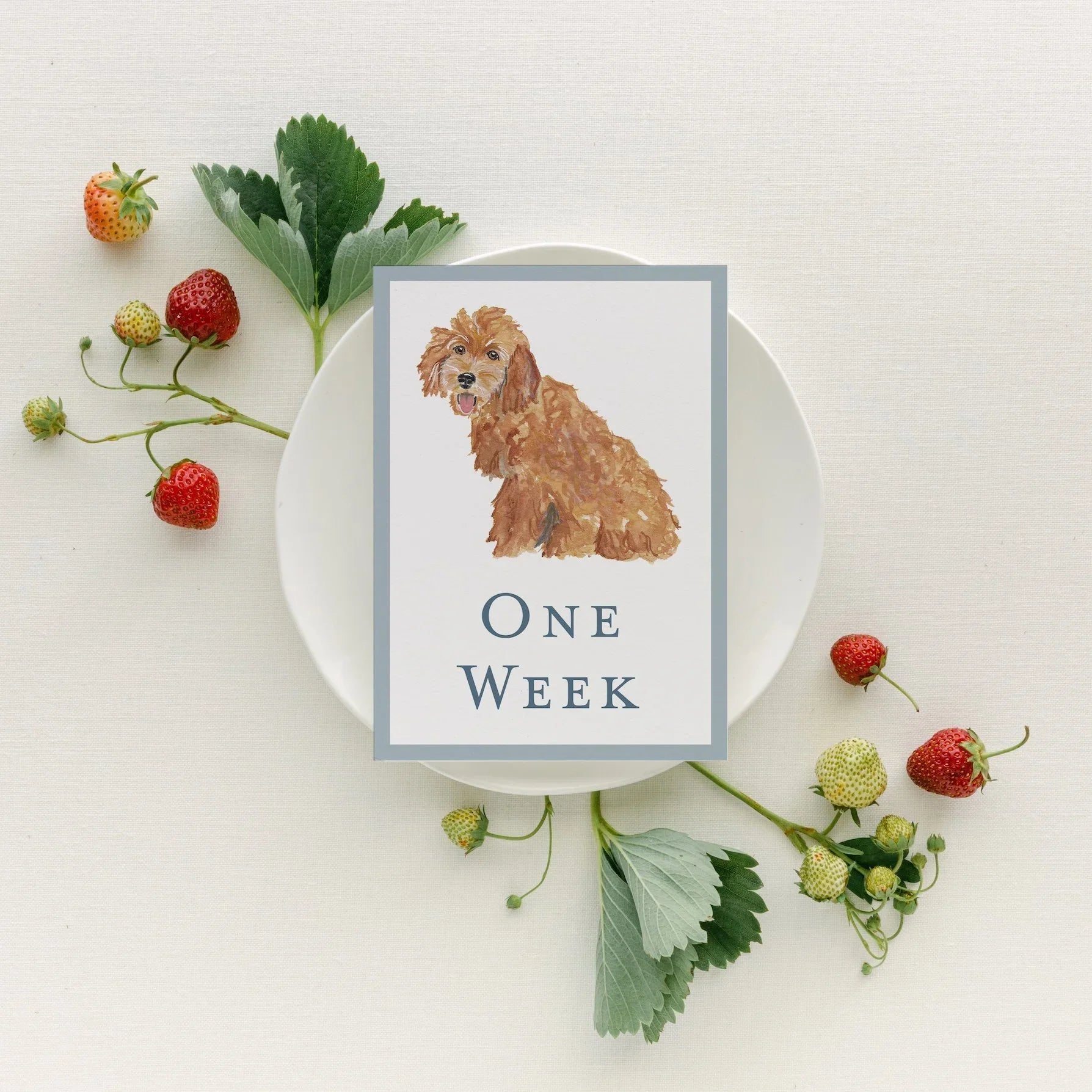 Baby Milestone Cards - Dogs