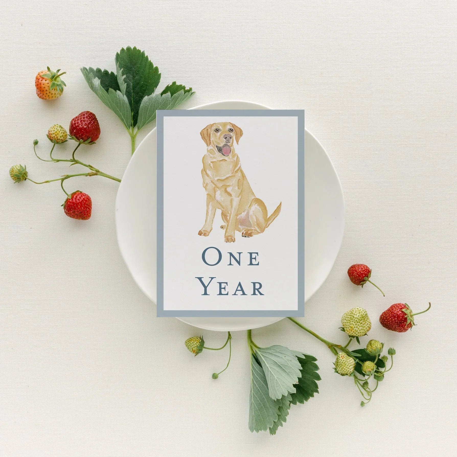 Baby Milestone Cards - Dogs