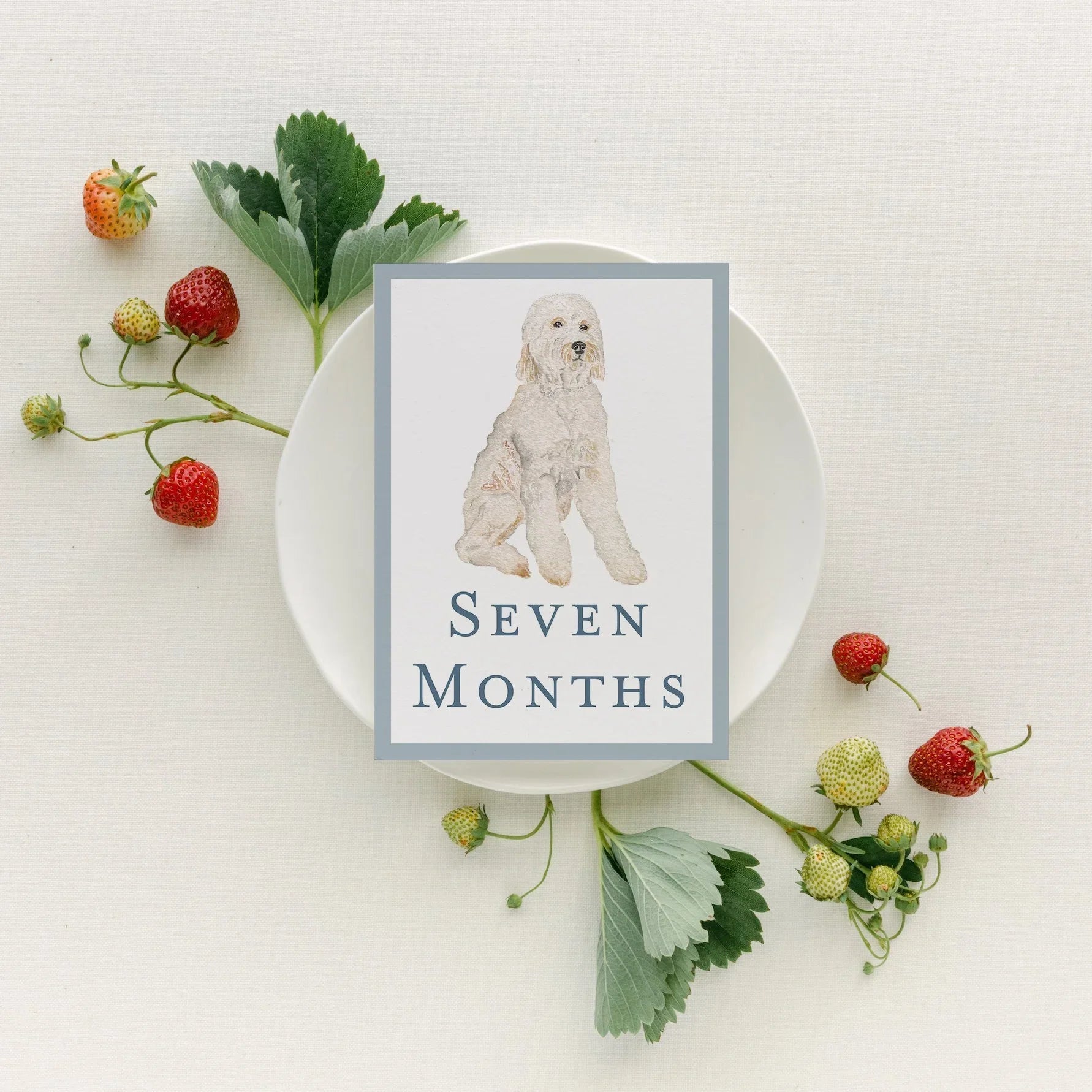 Baby Milestone Cards - Dogs