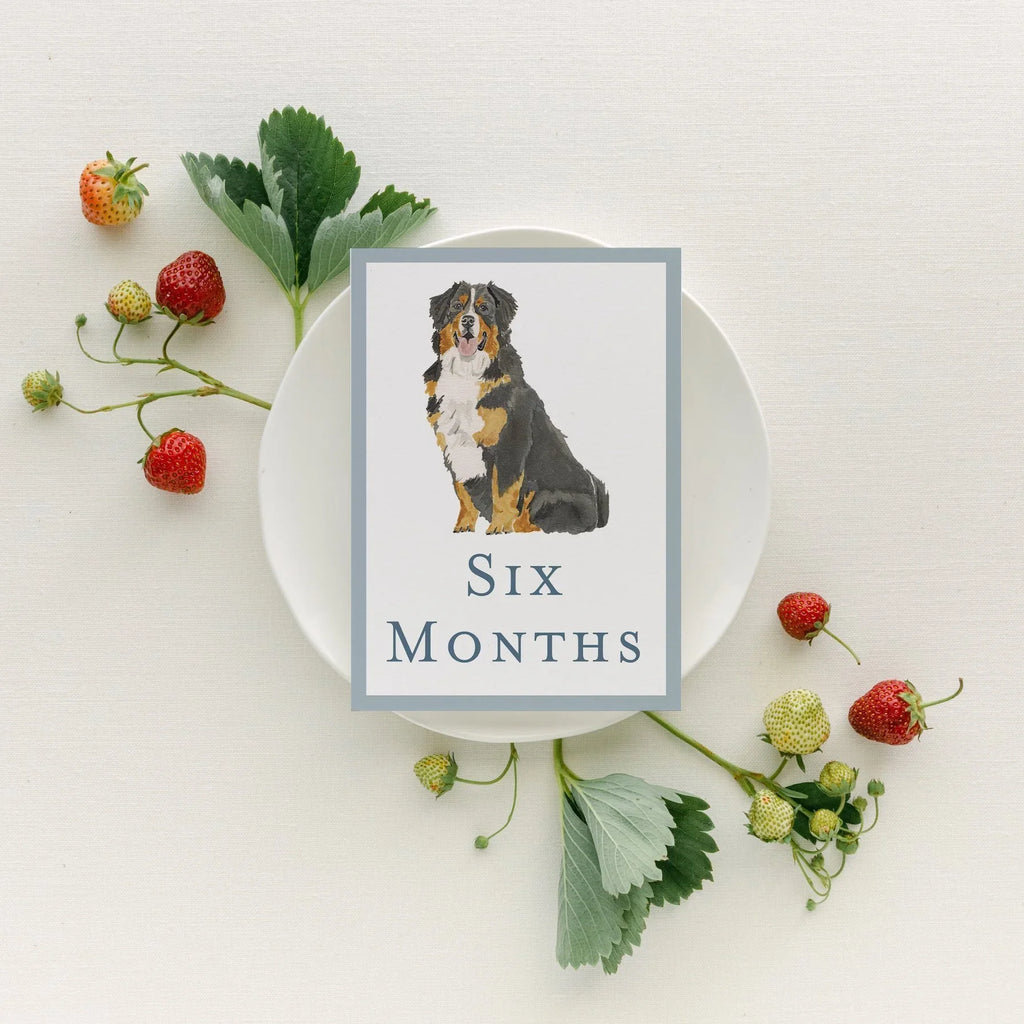 Baby Milestone Cards - Dogs