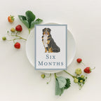Baby Milestone Cards - Dogs