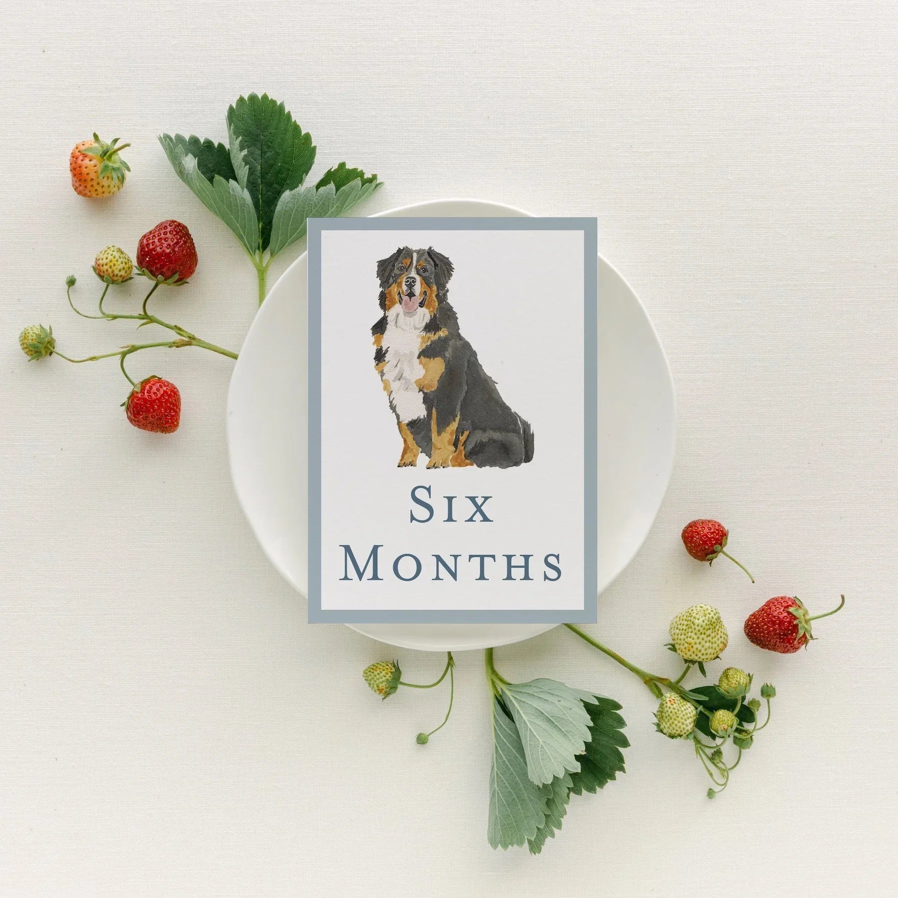Baby Milestone Cards - Dogs