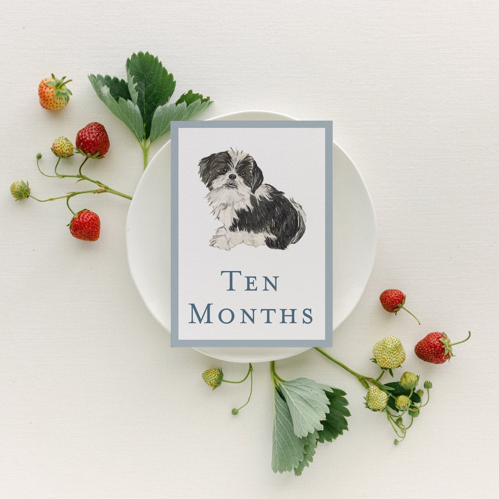 Baby Milestone Cards - Dogs