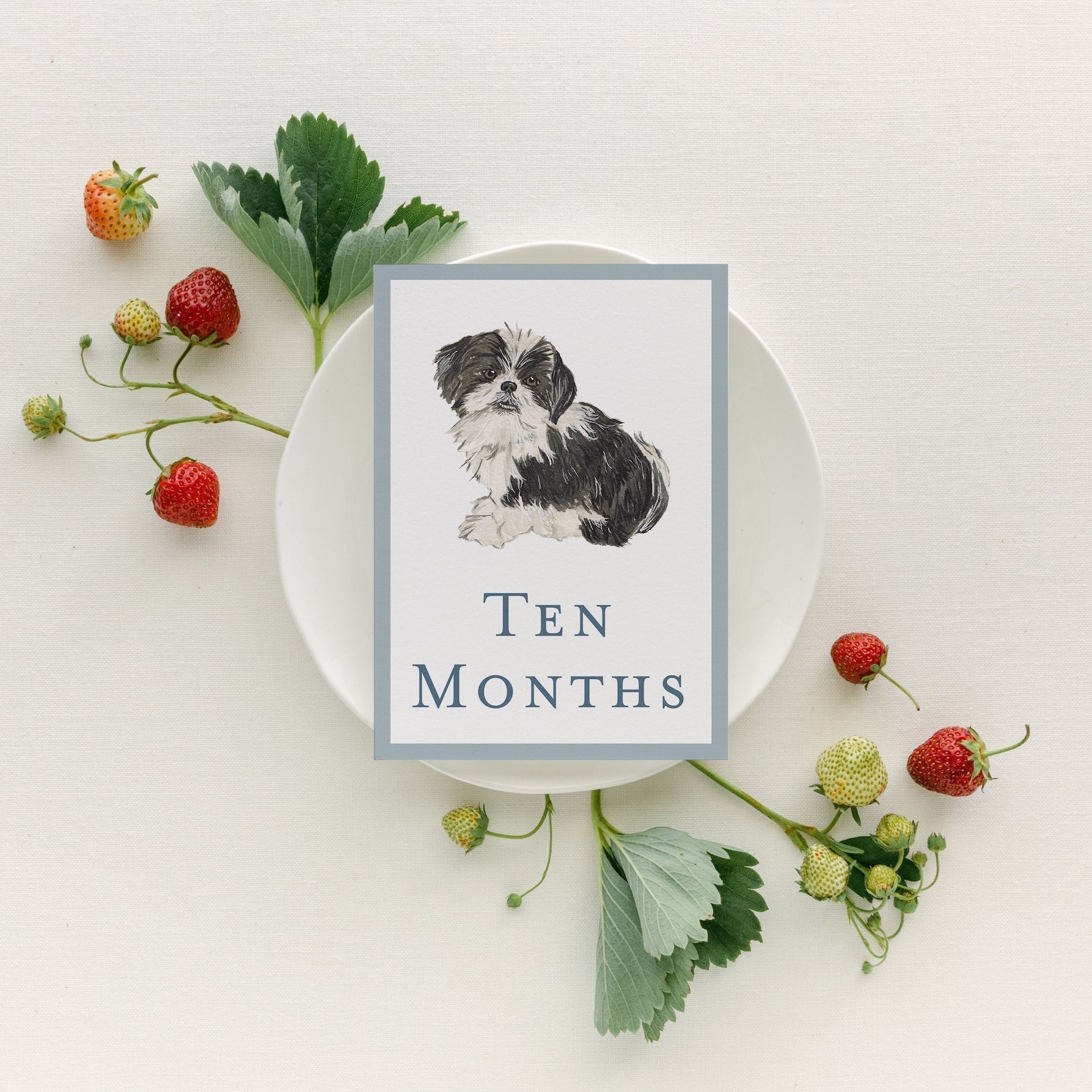 Baby Milestone Cards - Dogs