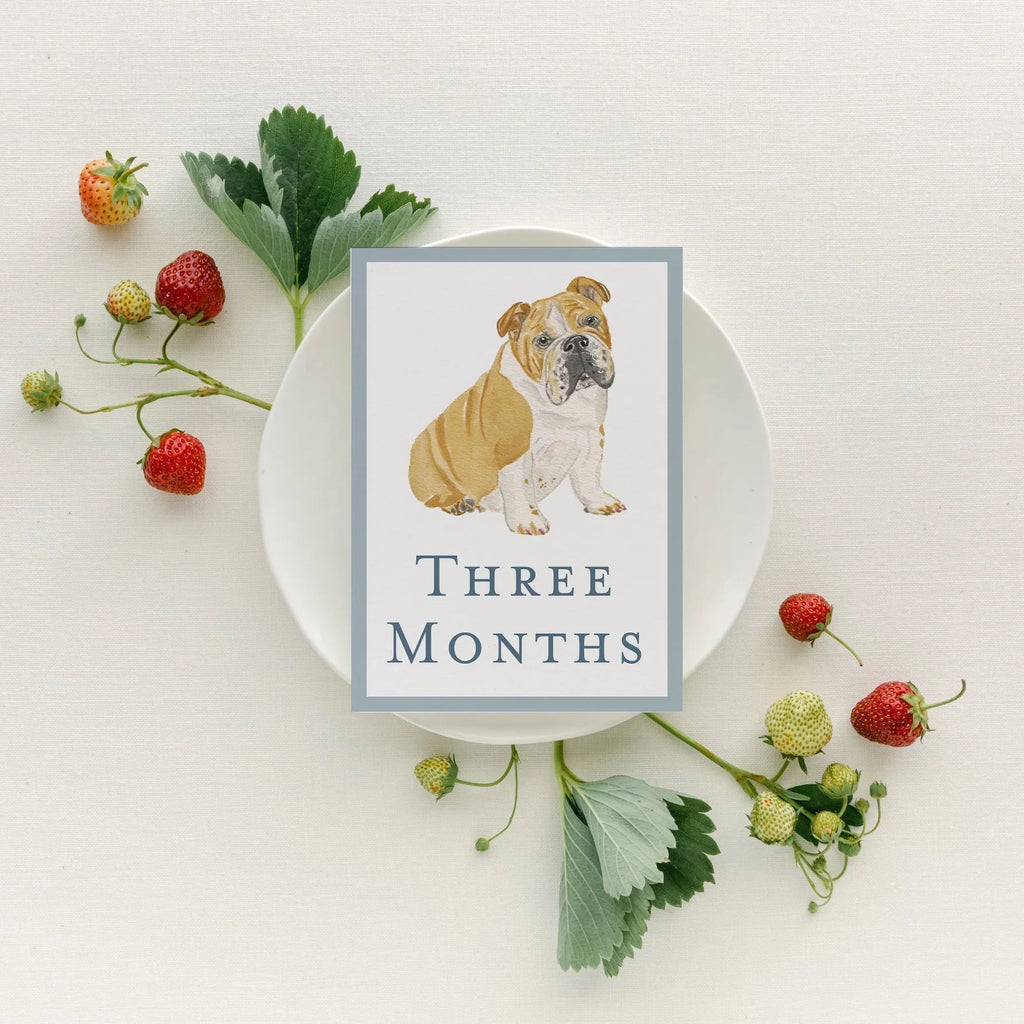 Baby Milestone Cards - Dogs