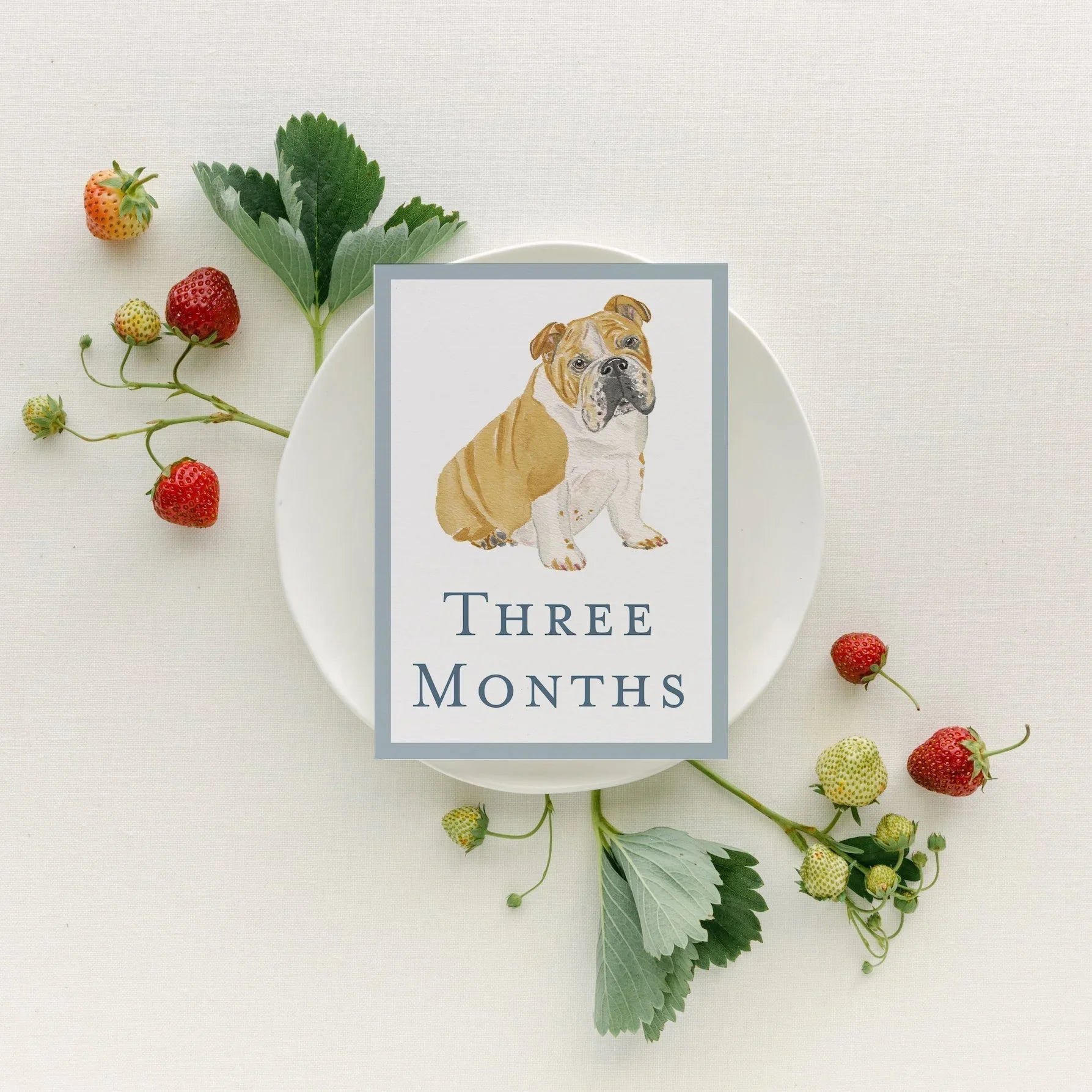 Baby Milestone Cards - Dogs