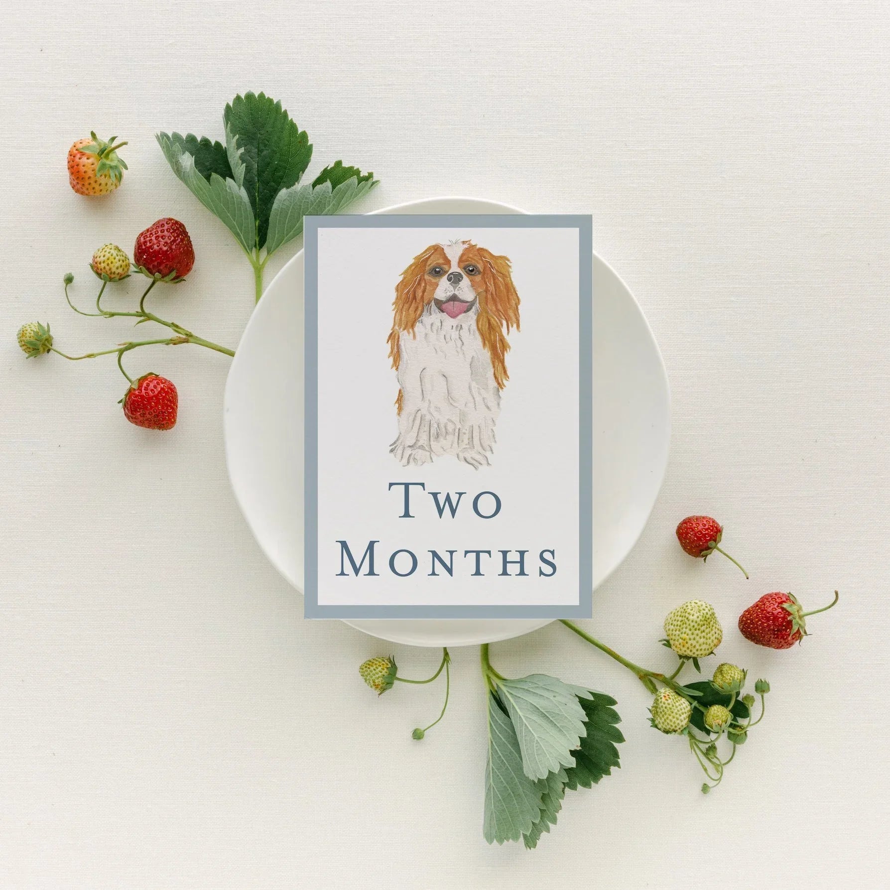 Baby Milestone Cards - Dogs
