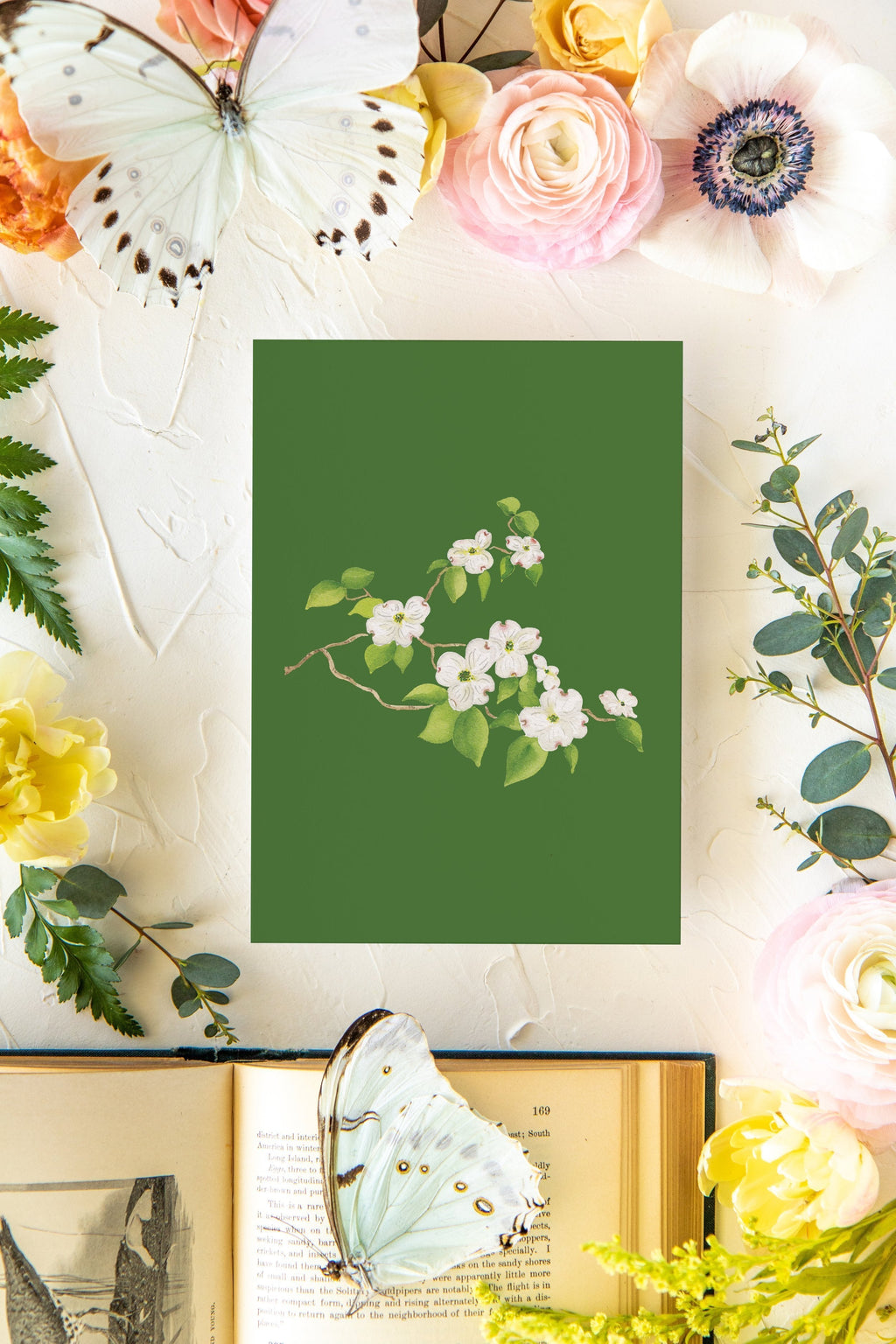 Colorful Botanical 5x7 Print - Dogwood