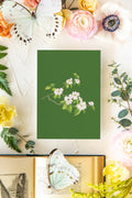 Colorful Botanical 5x7 Print - Dogwood