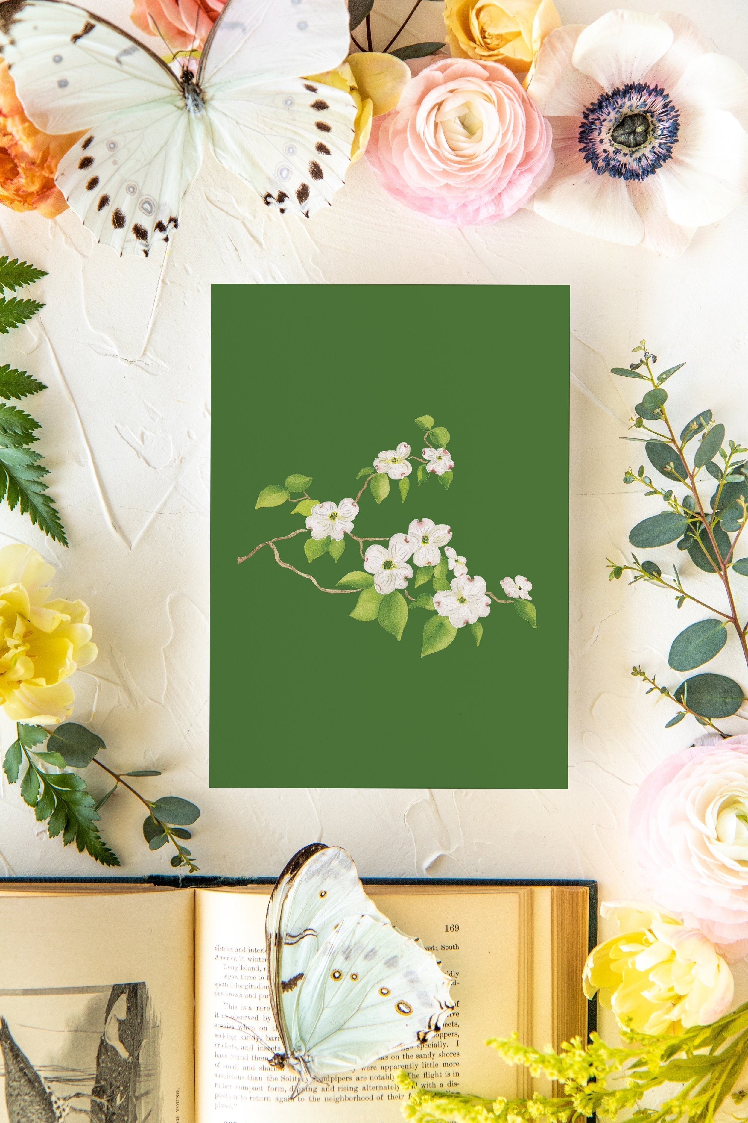 Colorful Botanical 5x7 Print - Dogwood