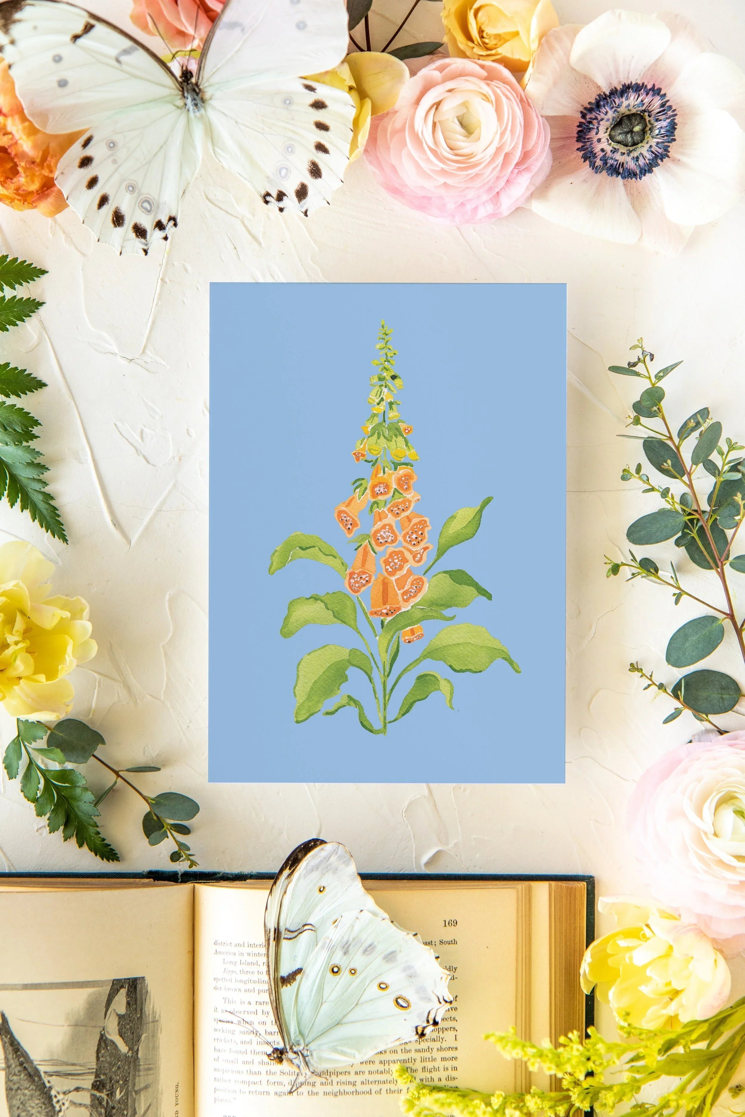 Colorful Botanical 5x7 Print - Foxglove