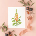 Botanical Art Prints 8x10 - Foxglove