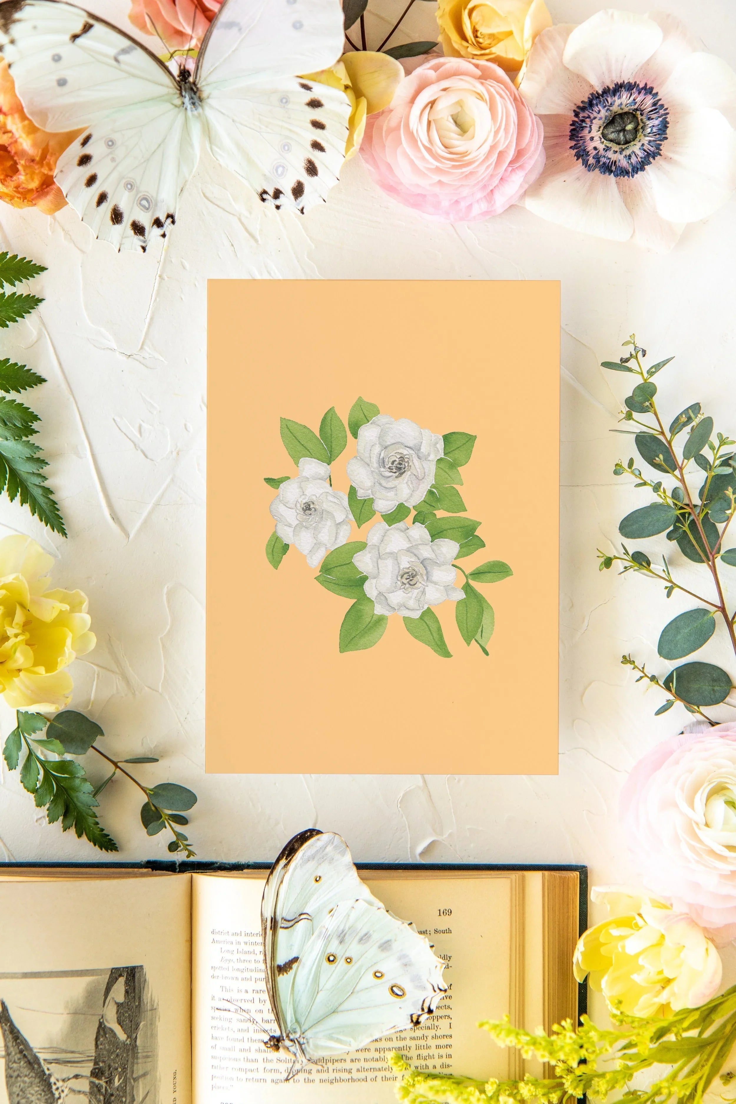 Colorful Botanical 5x7 Print - Gardenia