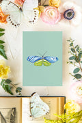 May 3 Butterfly Print 5x7