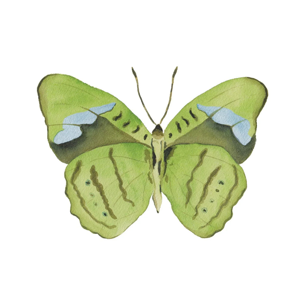 Green Butterfly Acrylic Art Block Small