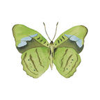 Green Butterfly Acrylic Art Block Large