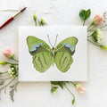Butterfly No. 39 Print 8x10