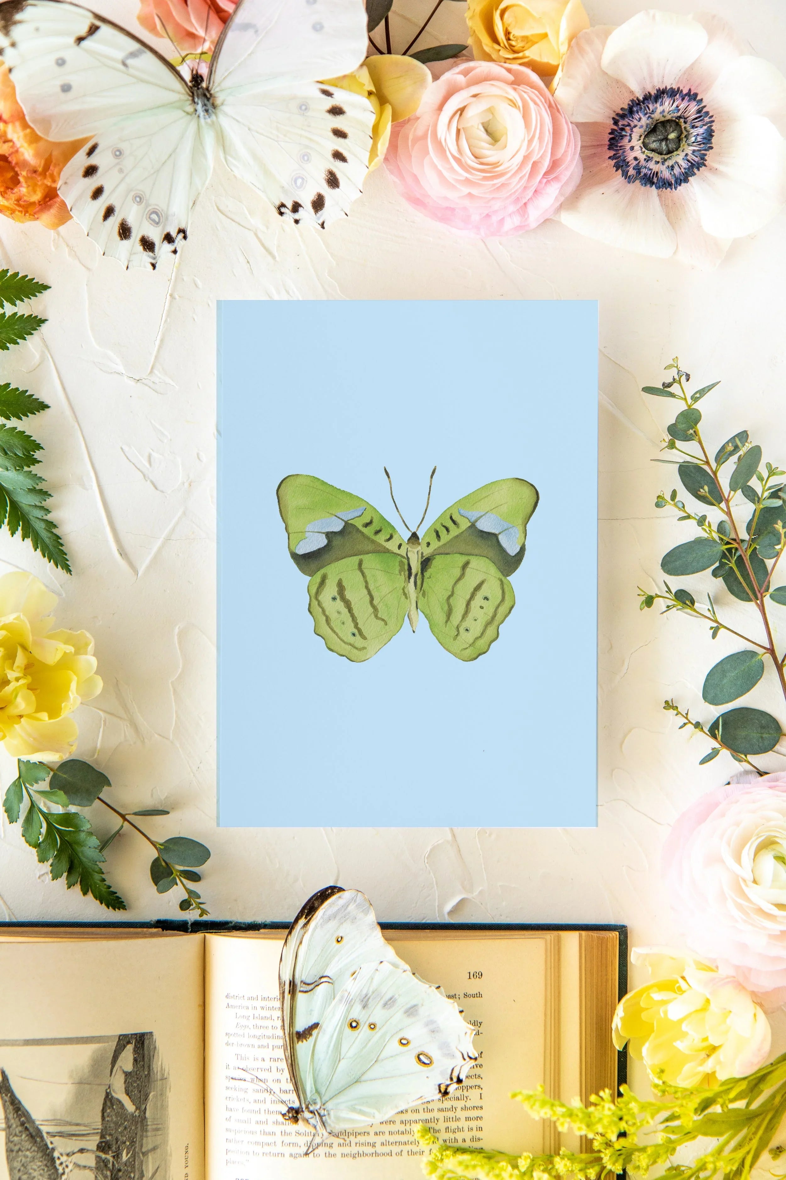 March 3 Butterfly Print 5x7