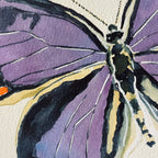 Colorado Hairstreak Art Print 8x10
