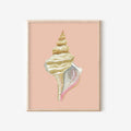 Horse Conch Art Print Colorful 5x7