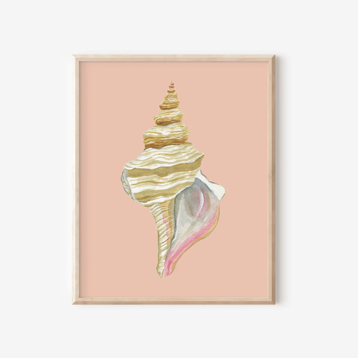 Horse Conch Art Print Colorful 5x7