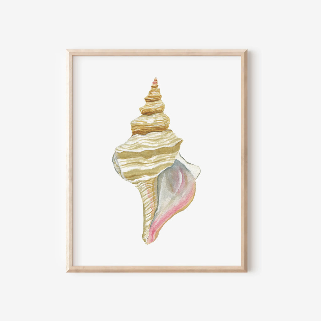 Horse Conch Art Print 8x10