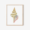 Horse Conch Art Print 8x10