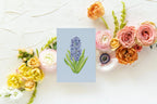 Blue Botanical 5x7 Prints - Hyacinth