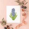Botanical Art Prints 8x10 - Hyacinth