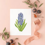 Botanical Art Prints 8x10 - Hyacinth