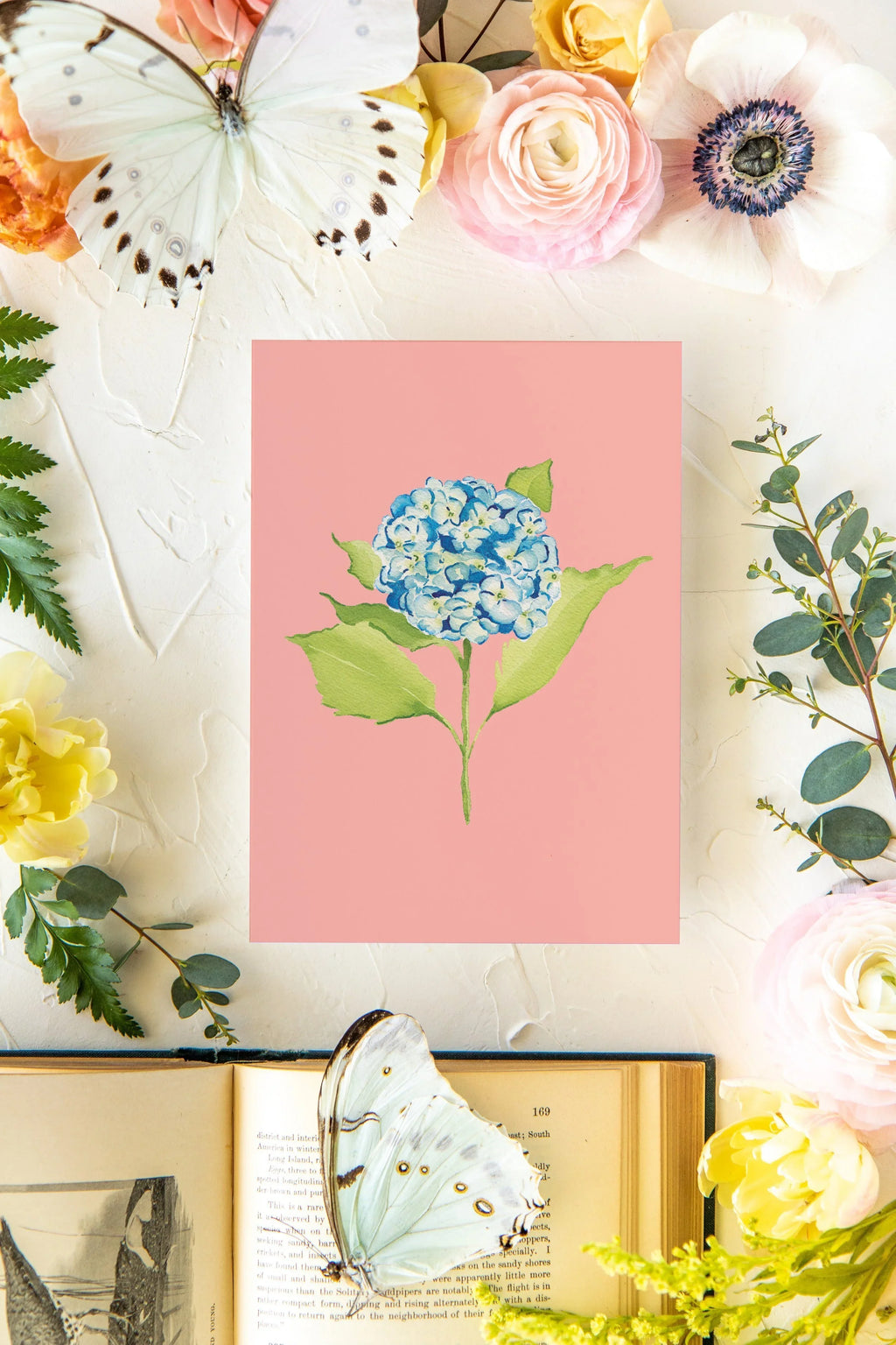 Colorful Botanical 5x7 Print - Hydrangea