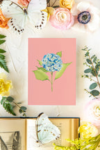 Colorful Botanical 5x7 Print - Hydrangea