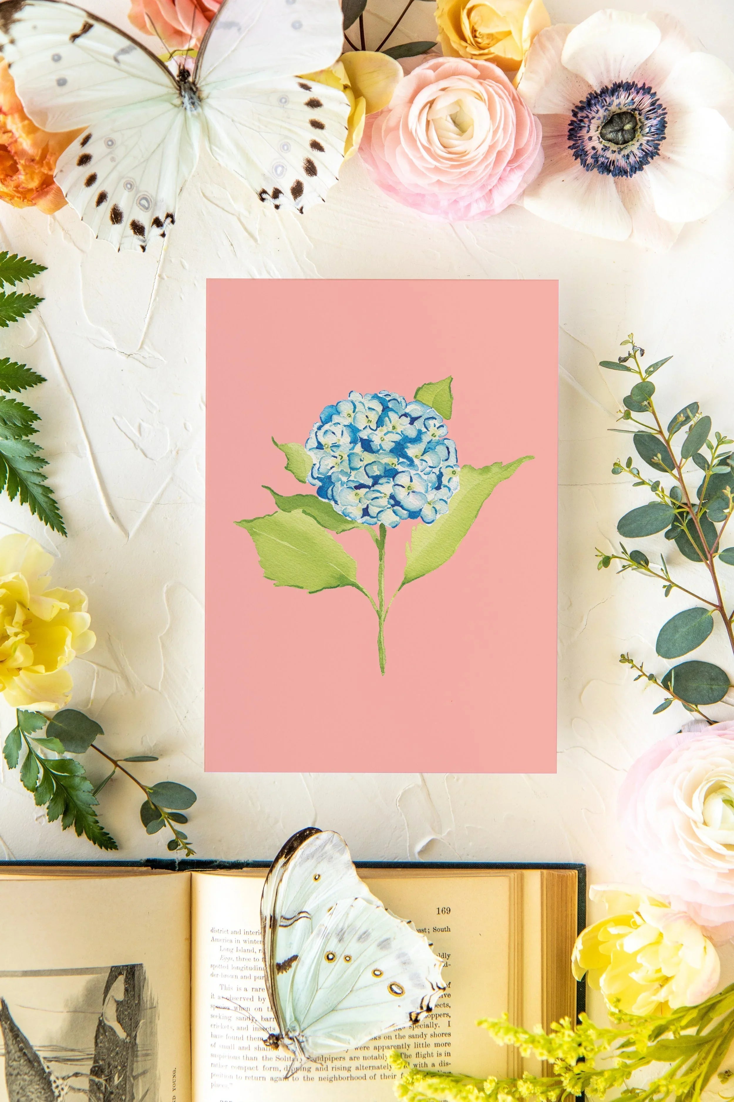 Colorful Botanical 5x7 Print - Hydrangea