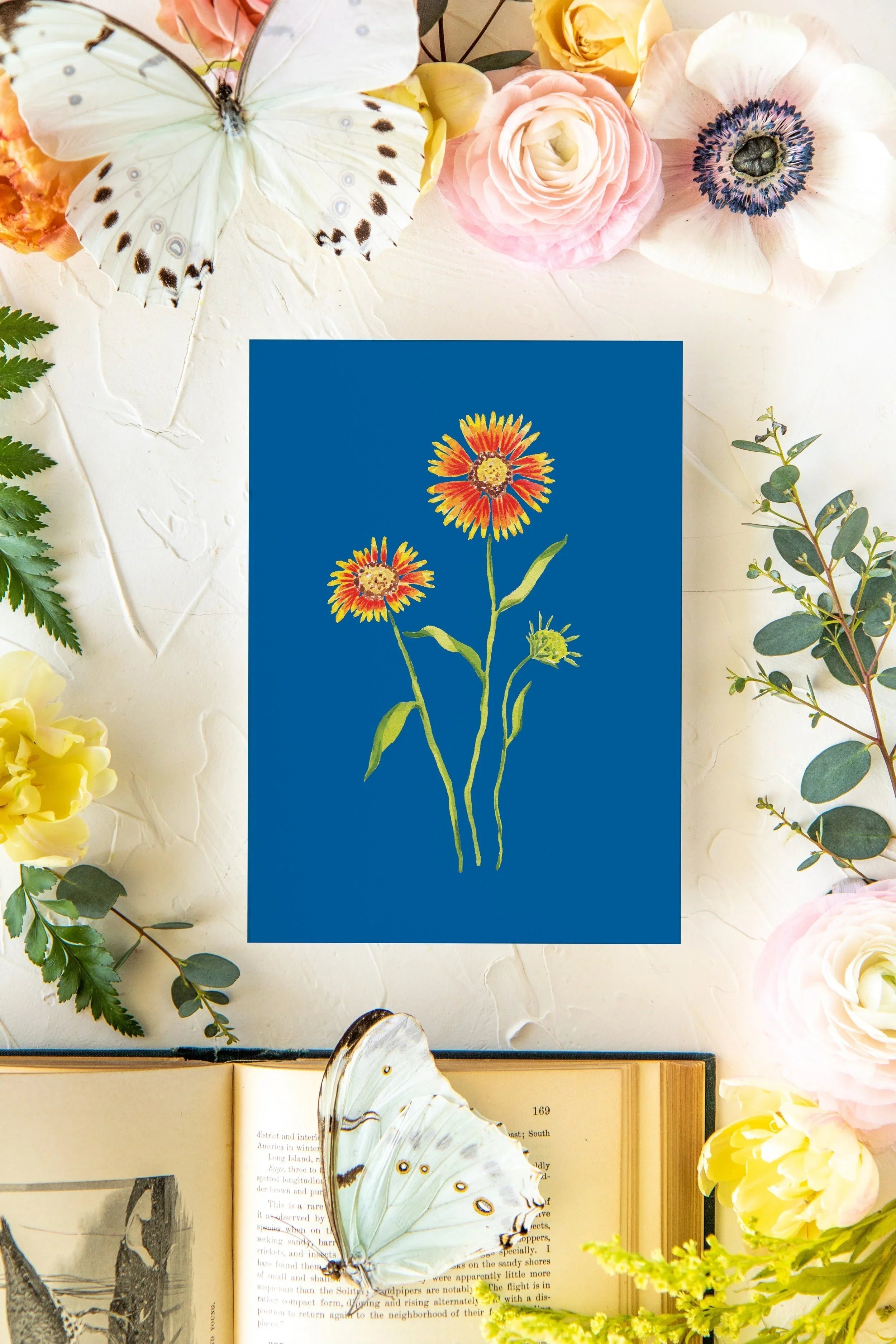 Colorful Botanical 5x7 Print - Indian Blanket