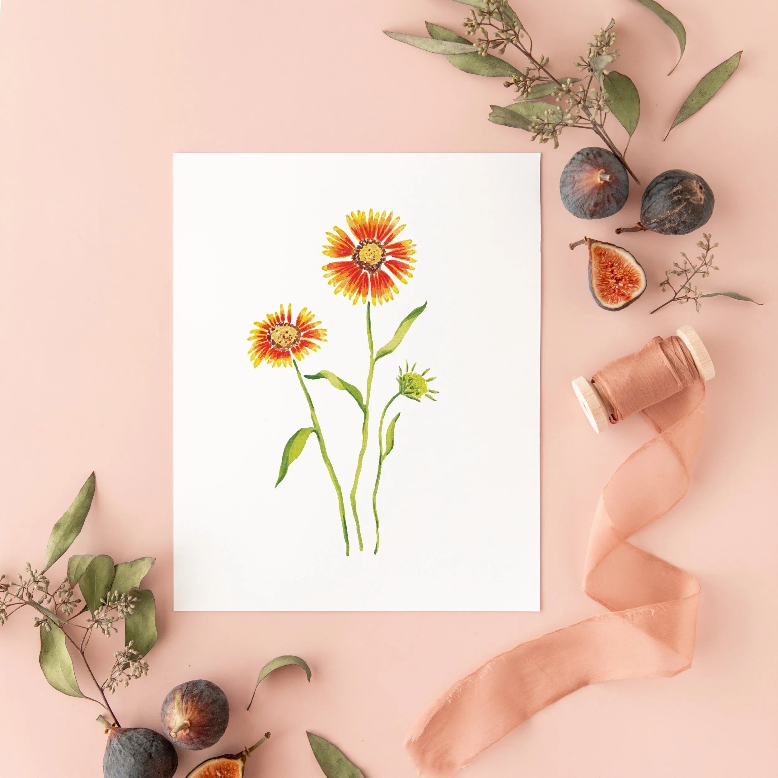 Botanical Art Prints 8x10 - Indian Blanket