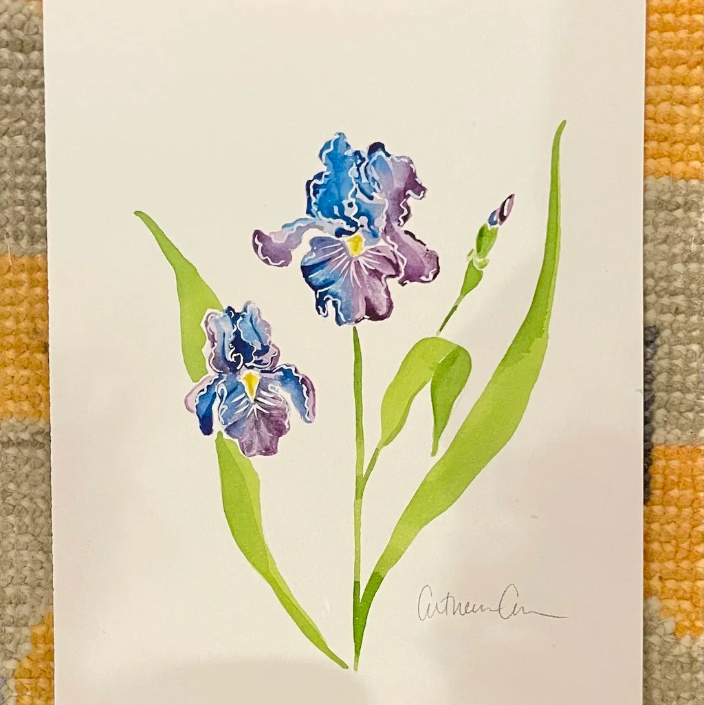 Botanical Original Painting - Iris