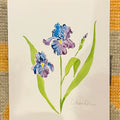 Botanical Original Painting - Iris