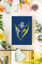 Colorful Botanical 5x7 Print - Iris