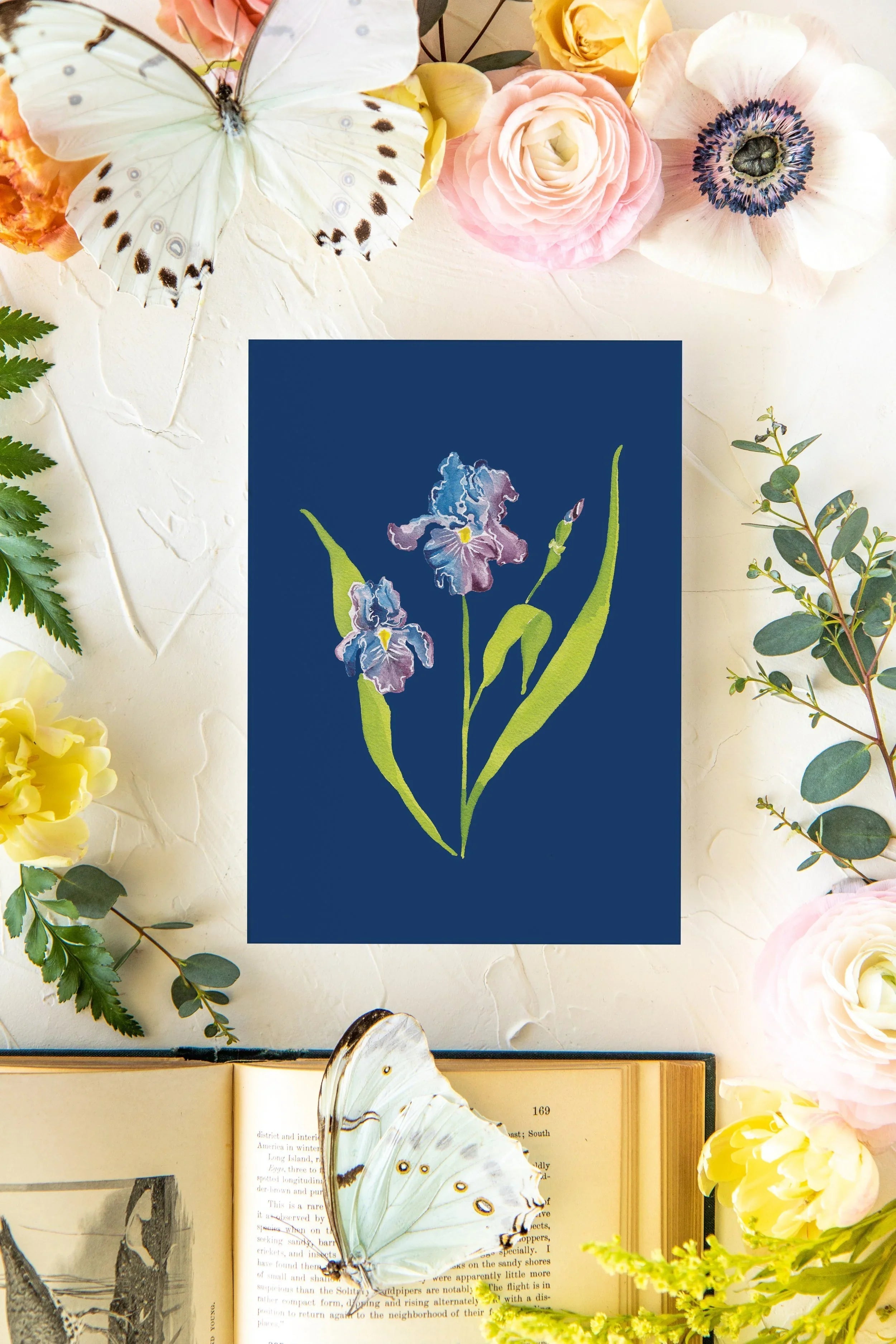 Colorful Botanical 5x7 Print - Iris