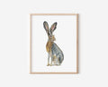 Jackrabbit Art Print 8x10