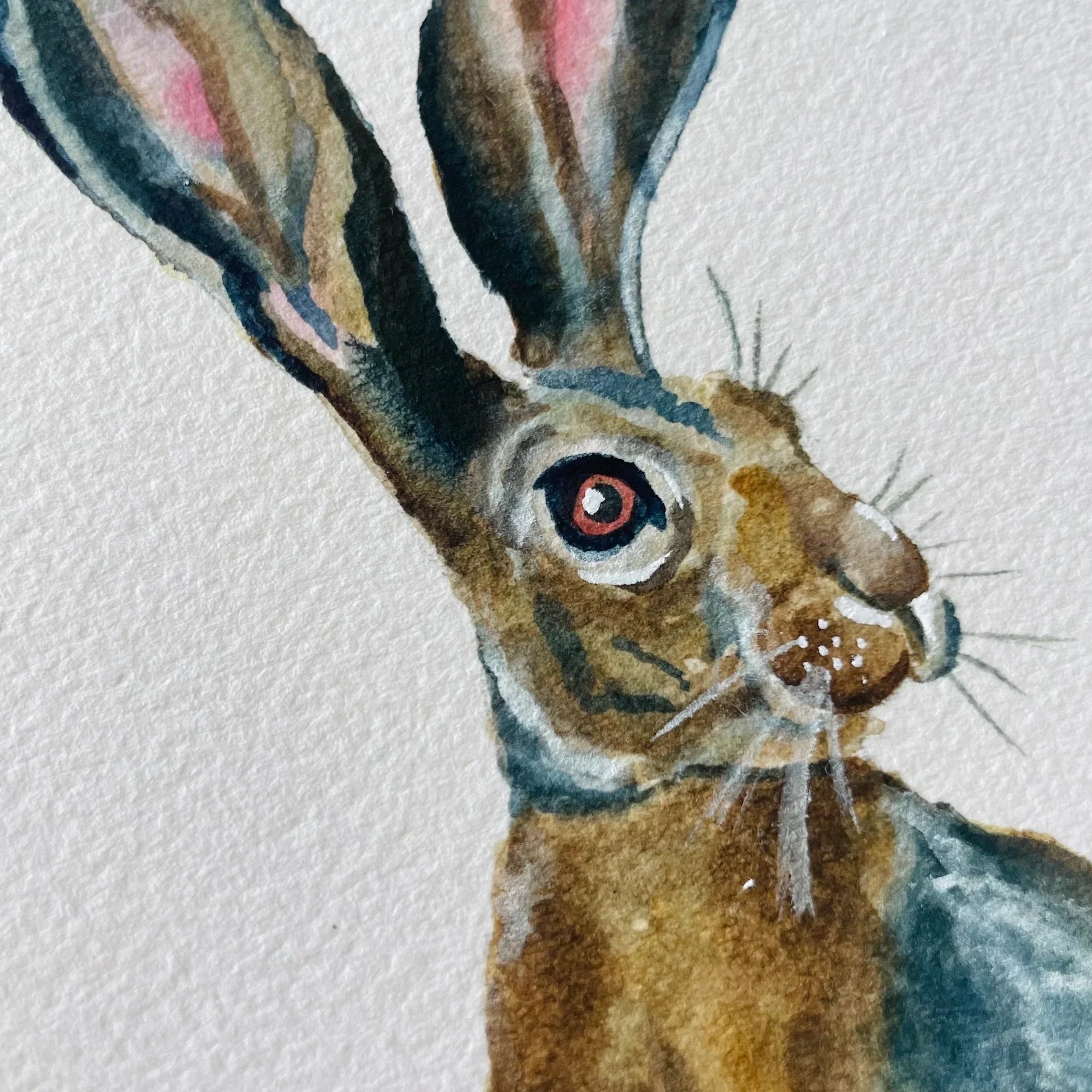 Jackrabbit Colorful Art Print 5x7