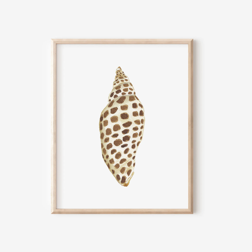 Junonia Art Print 8x10
